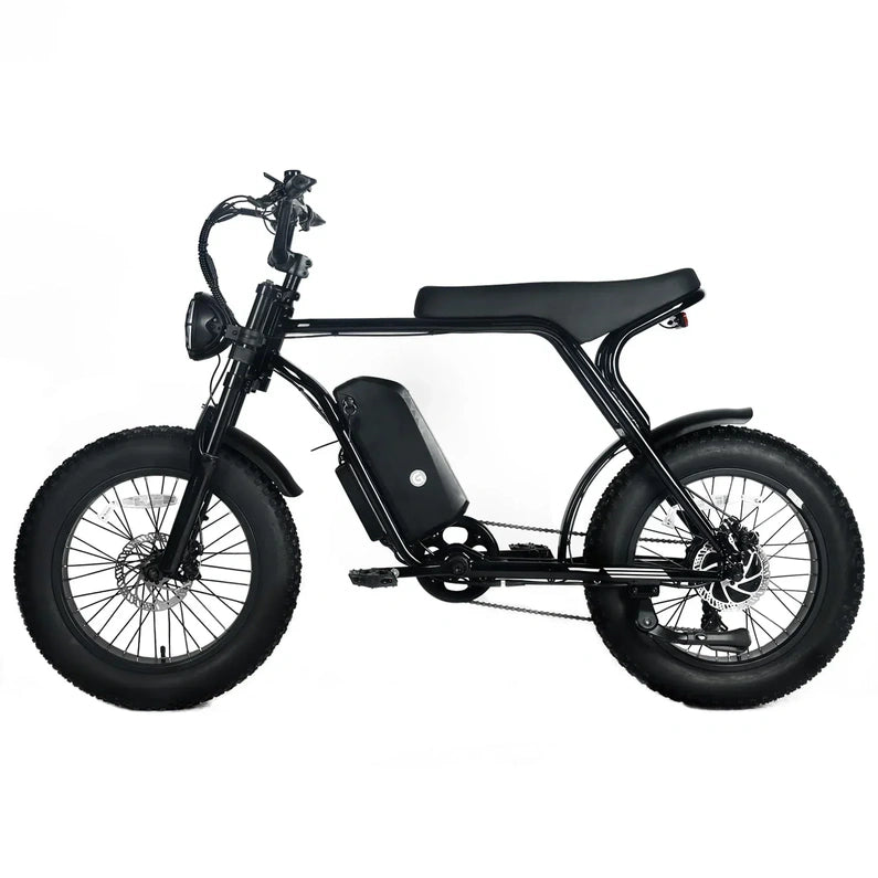 Electric Mountain Bike for Adults | 20 x 4.0 Fat Tires, 1000W Motor, 48V 20Ah Removable Battery, Max Speed 45MPH, Shi Mano 7-Speed for Off-Road Adventures