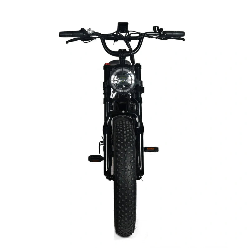 Electric Mountain Bike for Adults | 20 x 4.0 Fat Tires, 1000W Motor, 48V 20Ah Removable Battery, Max Speed 45MPH, Shi Mano 7-Speed for Off-Road Adventures